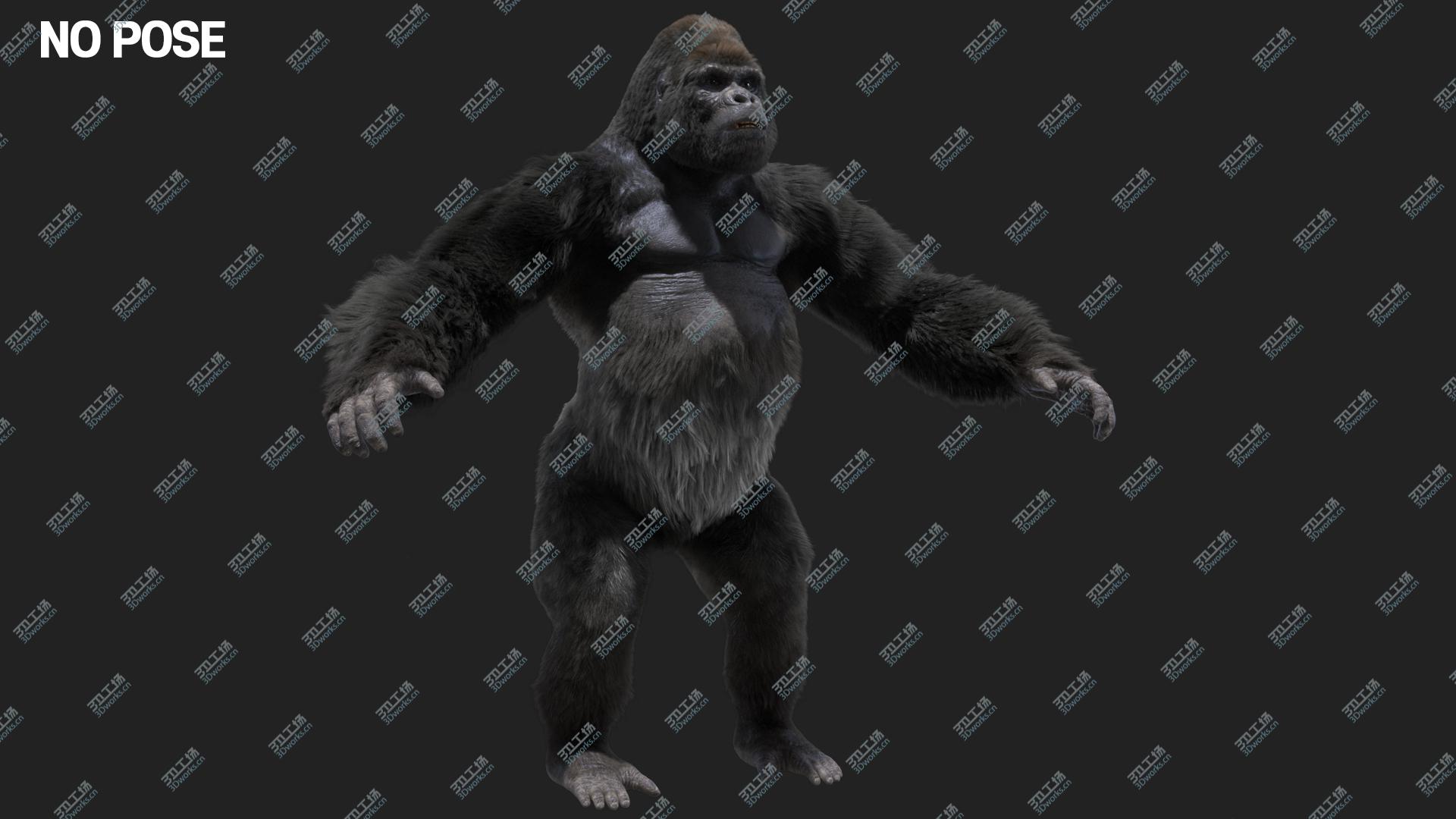 images/goods_img/20210114/Mountain Gorilla Fur (Rigged) 3D model/4.jpg